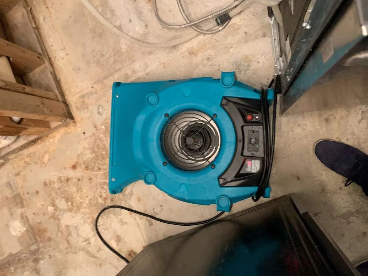Air mover drying equipment for Mold Remediation & Removal in Lake Oswego